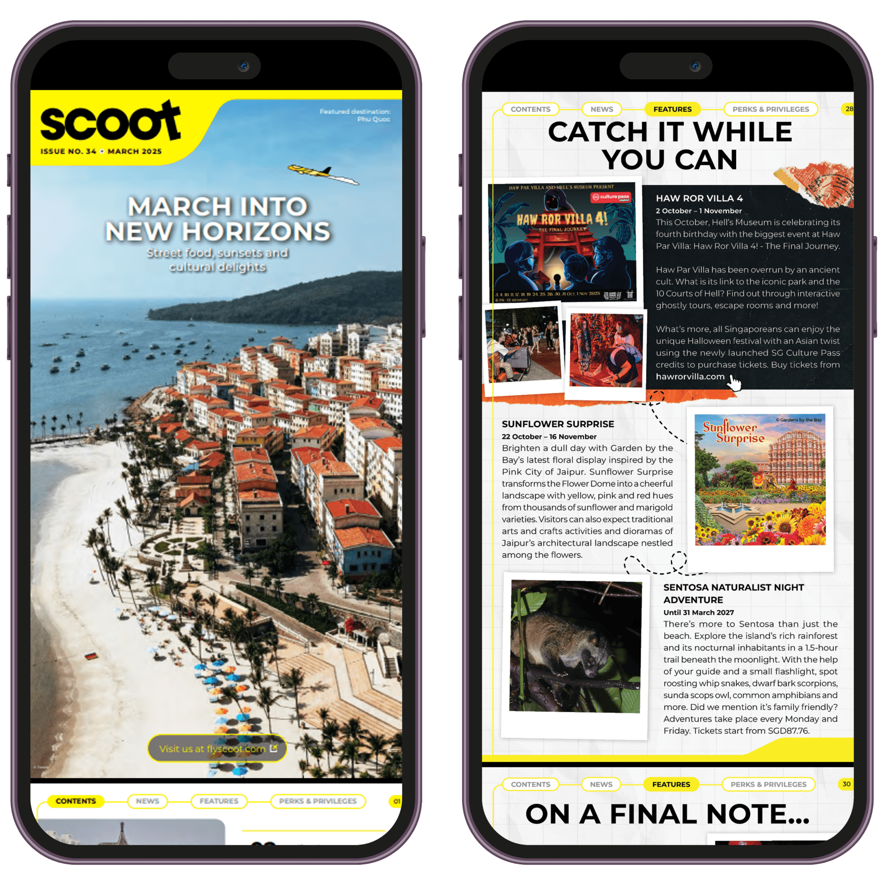 fly emagazine bg asset new